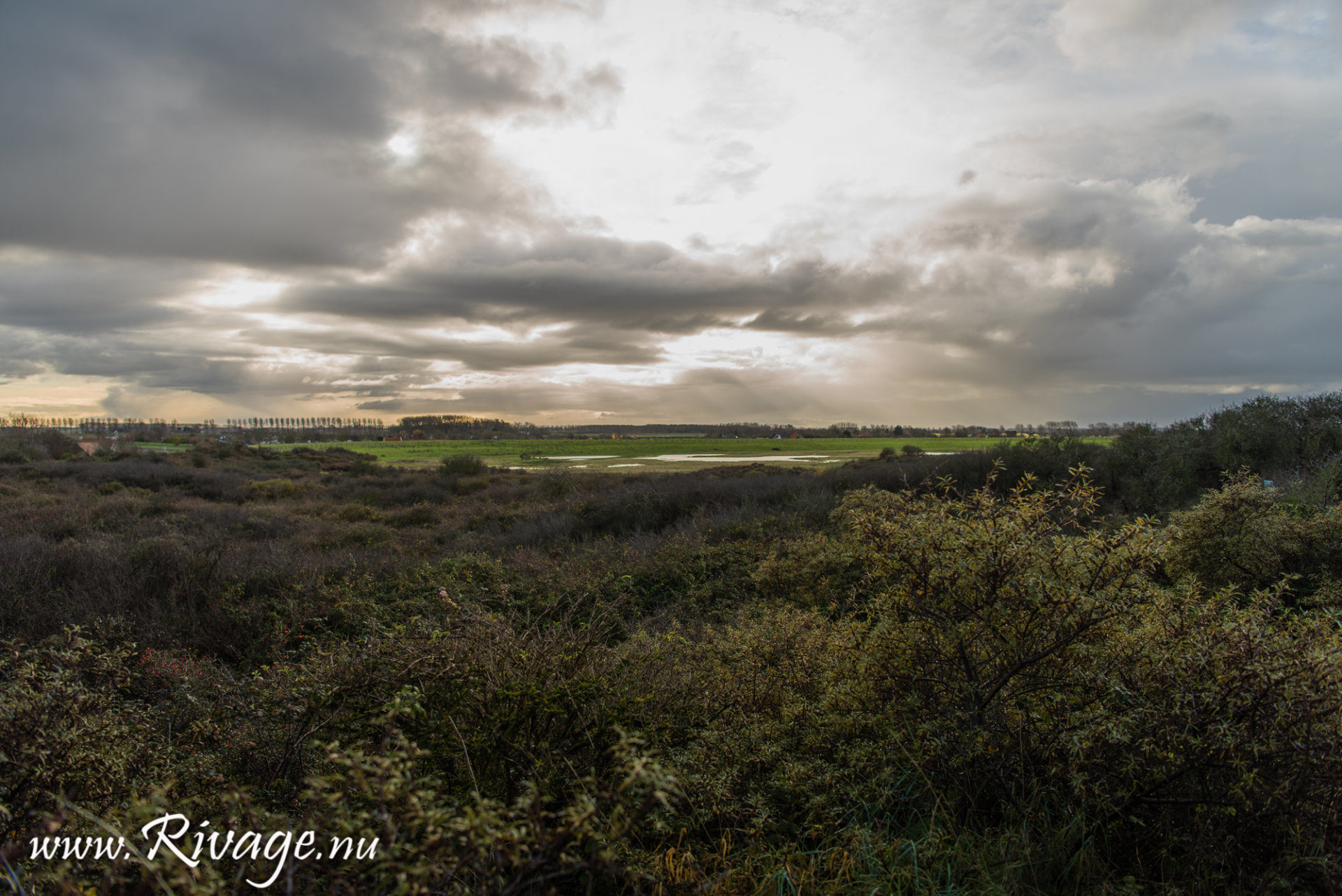 Verdronken Zwarte Polder Nieuwvliet Bad