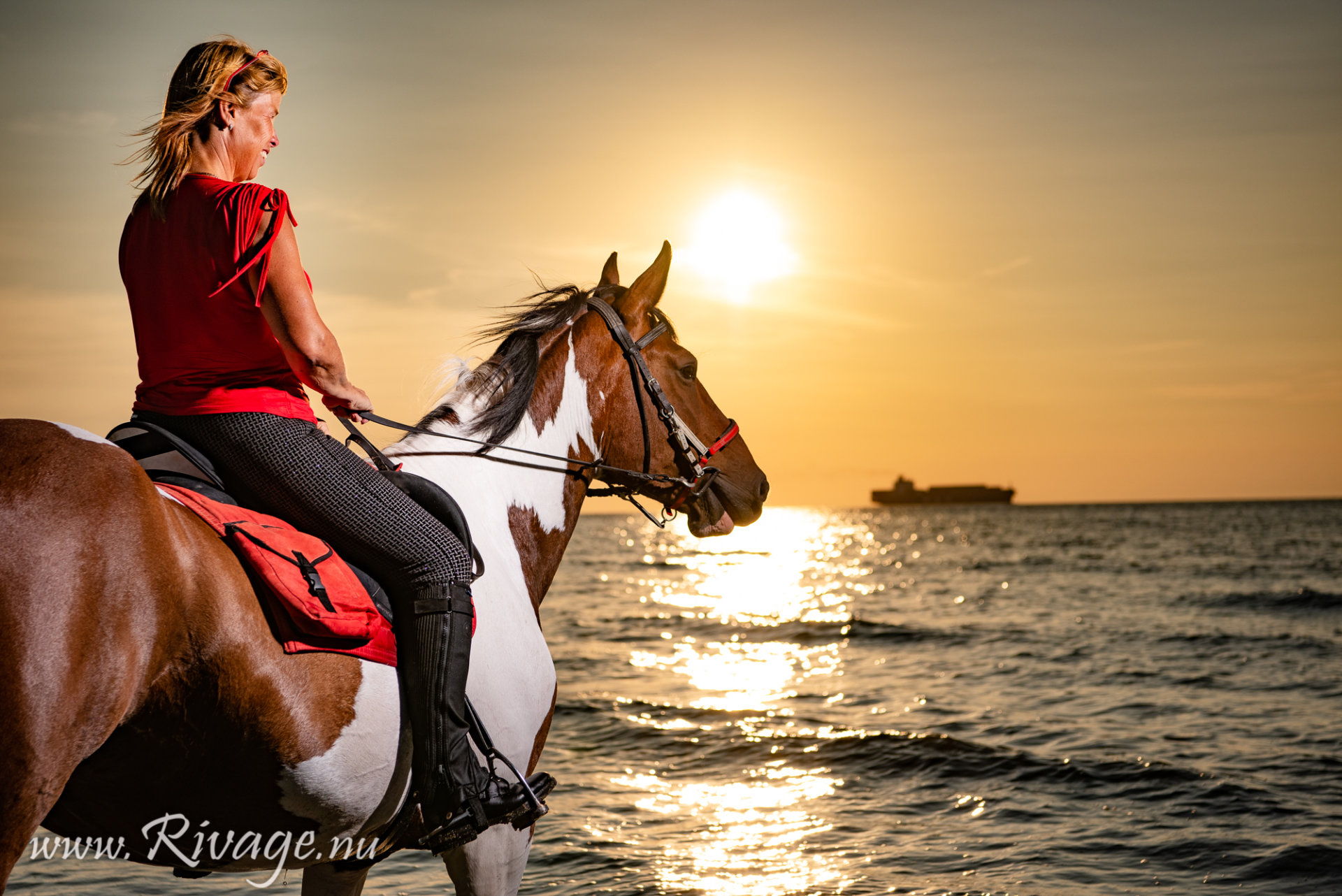 Paarden fotoshoot strand aan zee