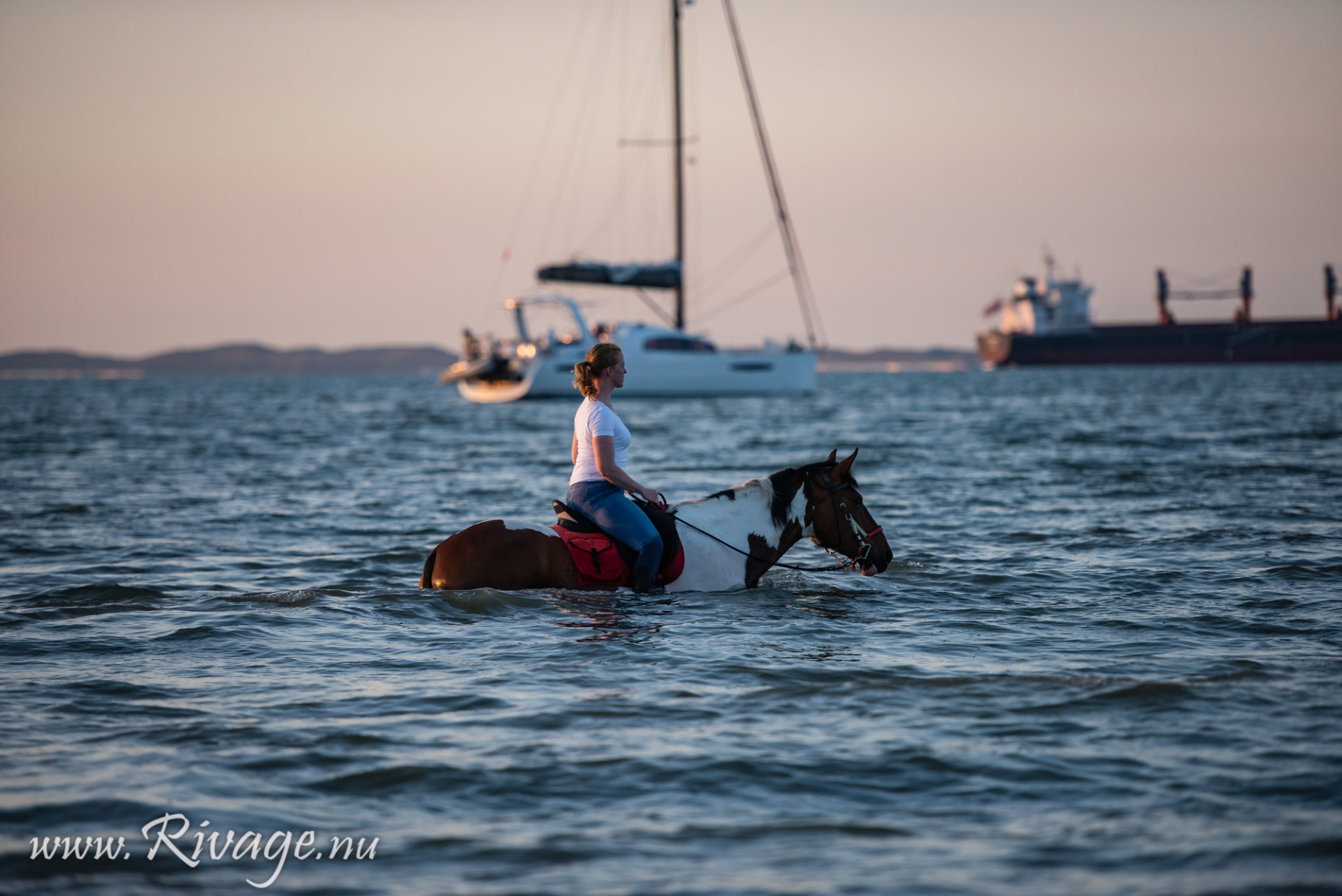 Paarden fotoshoot strand aan zee